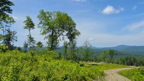 Map R6 Lot 1C Deer Crossing Way, Errol, NH, 03579 | Card Image