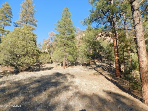 29 N2277, Nutrioso, AZ, 85932 | Card Image