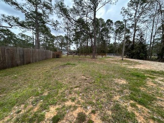 Southside of lot | Image 15
