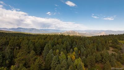 Drone view to the west above trees. Mountain views likely from the west side of the road if trees are thinned or cleared. | Image 3