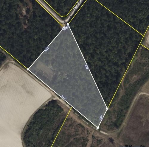 0 Deer Run Ave, Andrews, SC, 29510 | Card Image