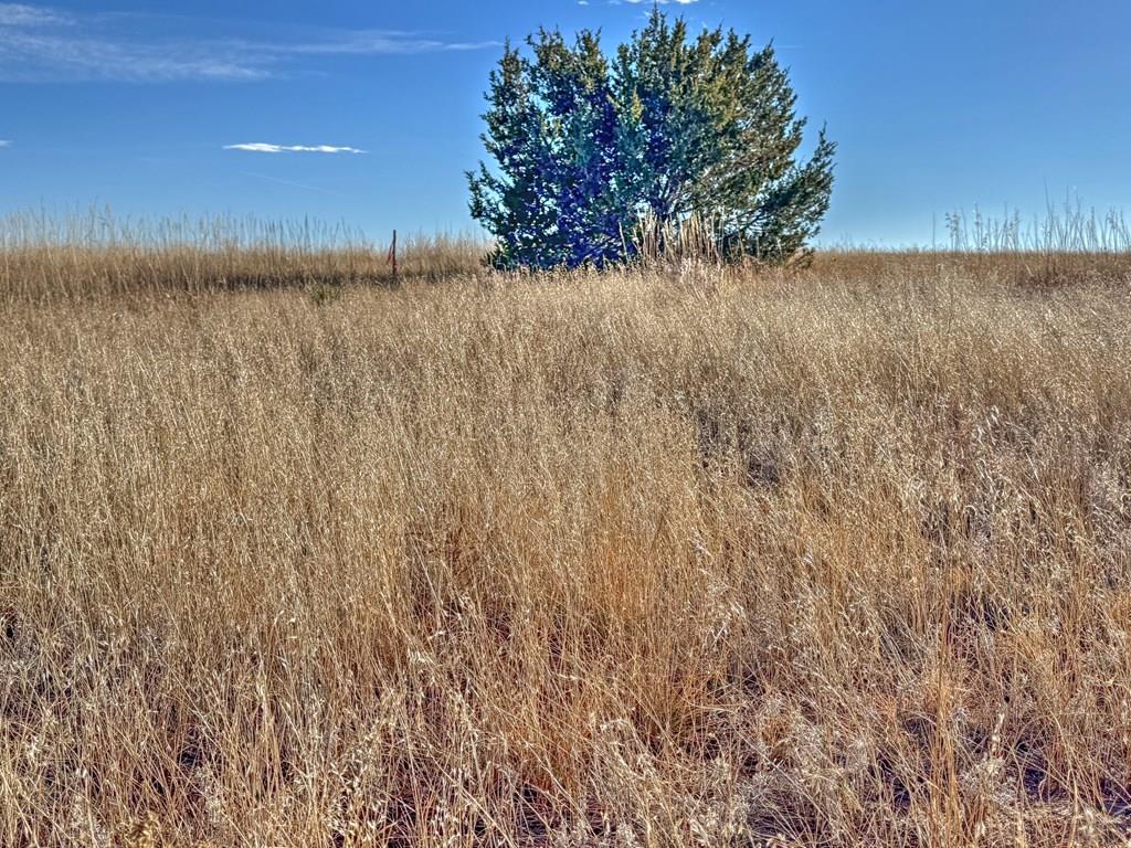 Land in Colorado City 3