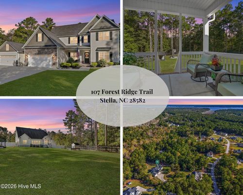 107 Forest Ridge Trl, Stella, NC, 28582-9773 | Card Image