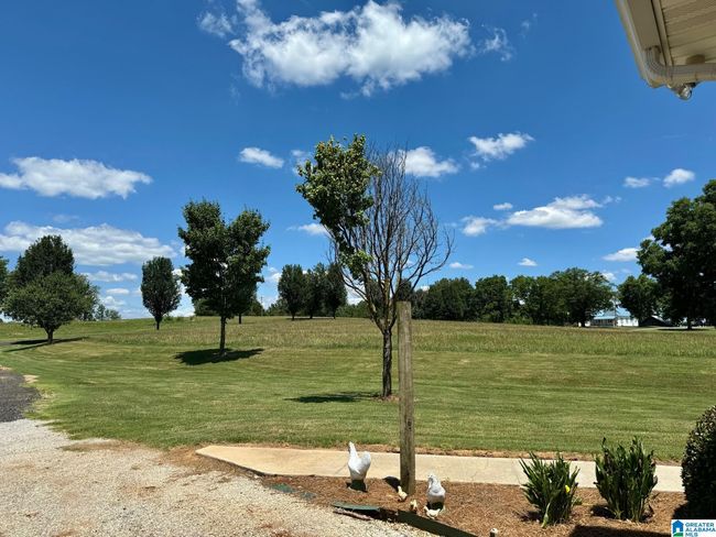 2400 County Road 56, House other with 4 bedrooms, 3 bathrooms and null parking in Wedowee AL | Image 29