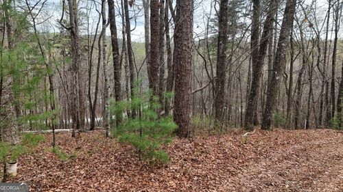 LOT 8 Settlement Ln, Tiger, GA, 30576-1865 | Card Image