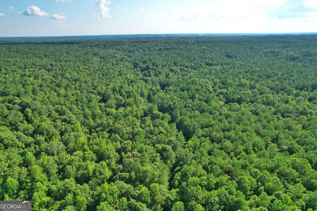 198.62+/- ACRES Apalachee Woods Trl, Home with 0 bedrooms, 0 bathrooms and null parking in Buckhead GA | Image 8