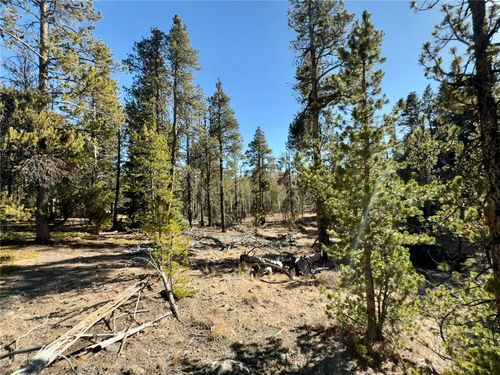 235 Willow Ln, ALMA, CO, 80420 | Card Image