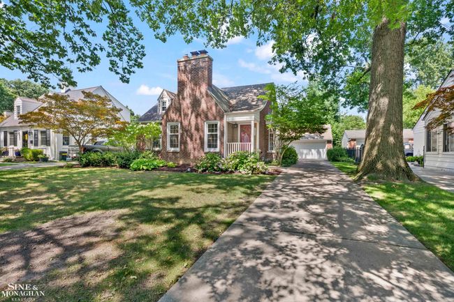 50184629-ab71f5e4-e171-49eb-8ed7-e27857696365.JPG | Image 42