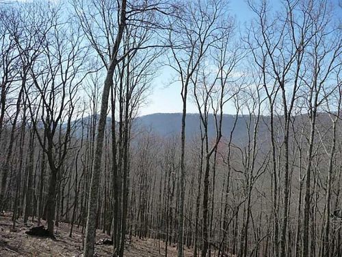 101 Deer Run, Big Canoe, GA, 30143-8918 | Card Image