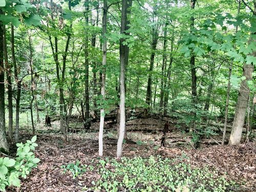 VL Barber Road, Metamora Township, MI, 48455 | Card Image