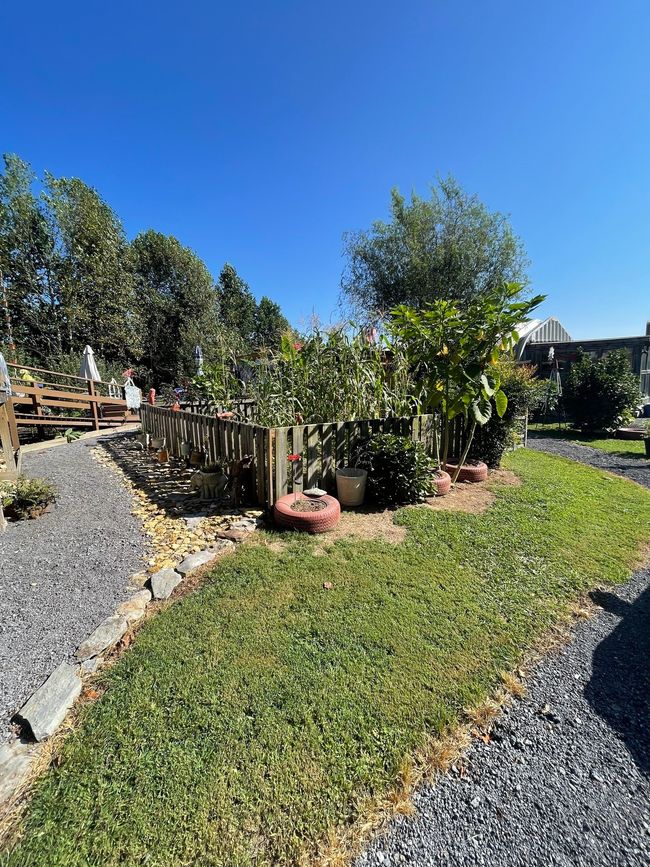 425 Nim Rd, House other with 3 bedrooms, 1 bathrooms and 2 parking in Red Boiling Springs TN | Image 21