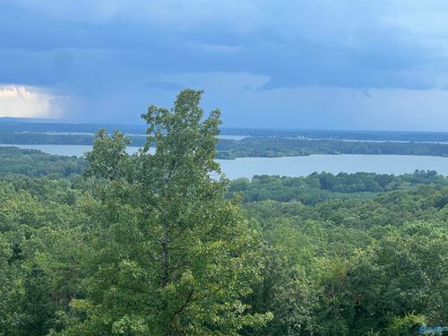 Lot 40 County Road 767, Cedar Bluff, AL, 35959 | Card Image