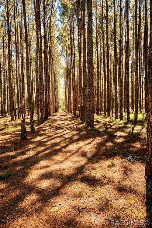 8248 E Fort Cooper Rd, Inverness, FL, 34450-7339 | Card Image