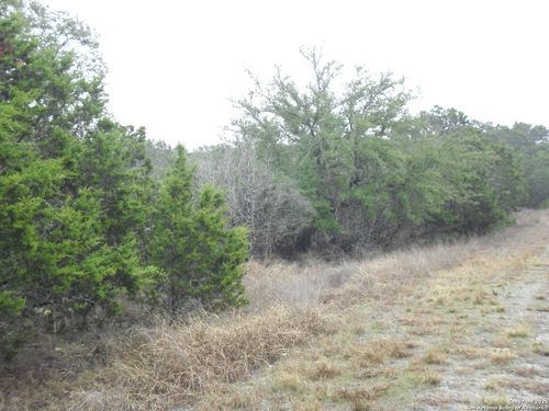255 Hilltop Rdg, New Braunfels, TX, 78132 | Card Image