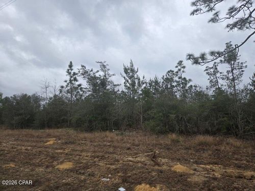 0000 Nw County Road 274, Altha, FL, 32421 | Card Image