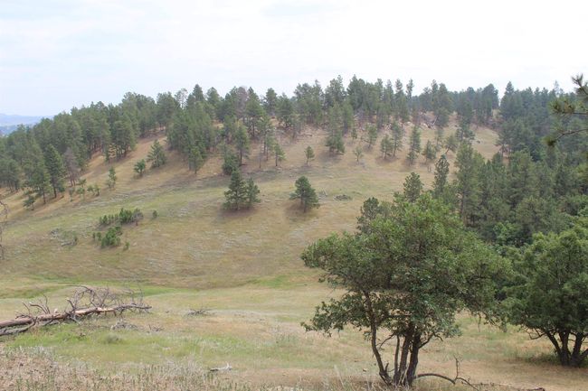 371 New Haven Rd, Home with 0 bedrooms, 0 bathrooms and null parking in Hulett WY | Image 30