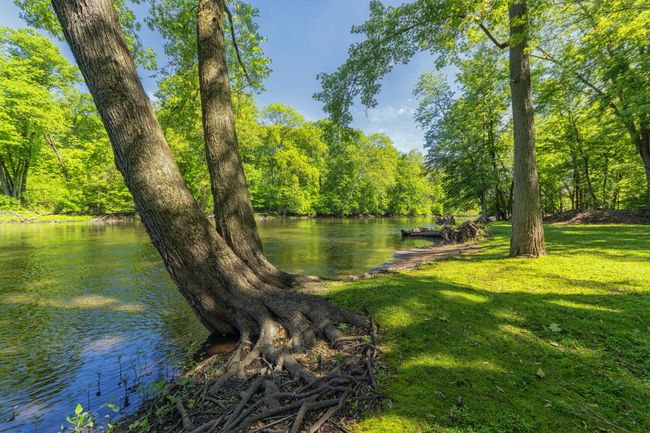 The St. Joe River behind the home #3. | Image 36