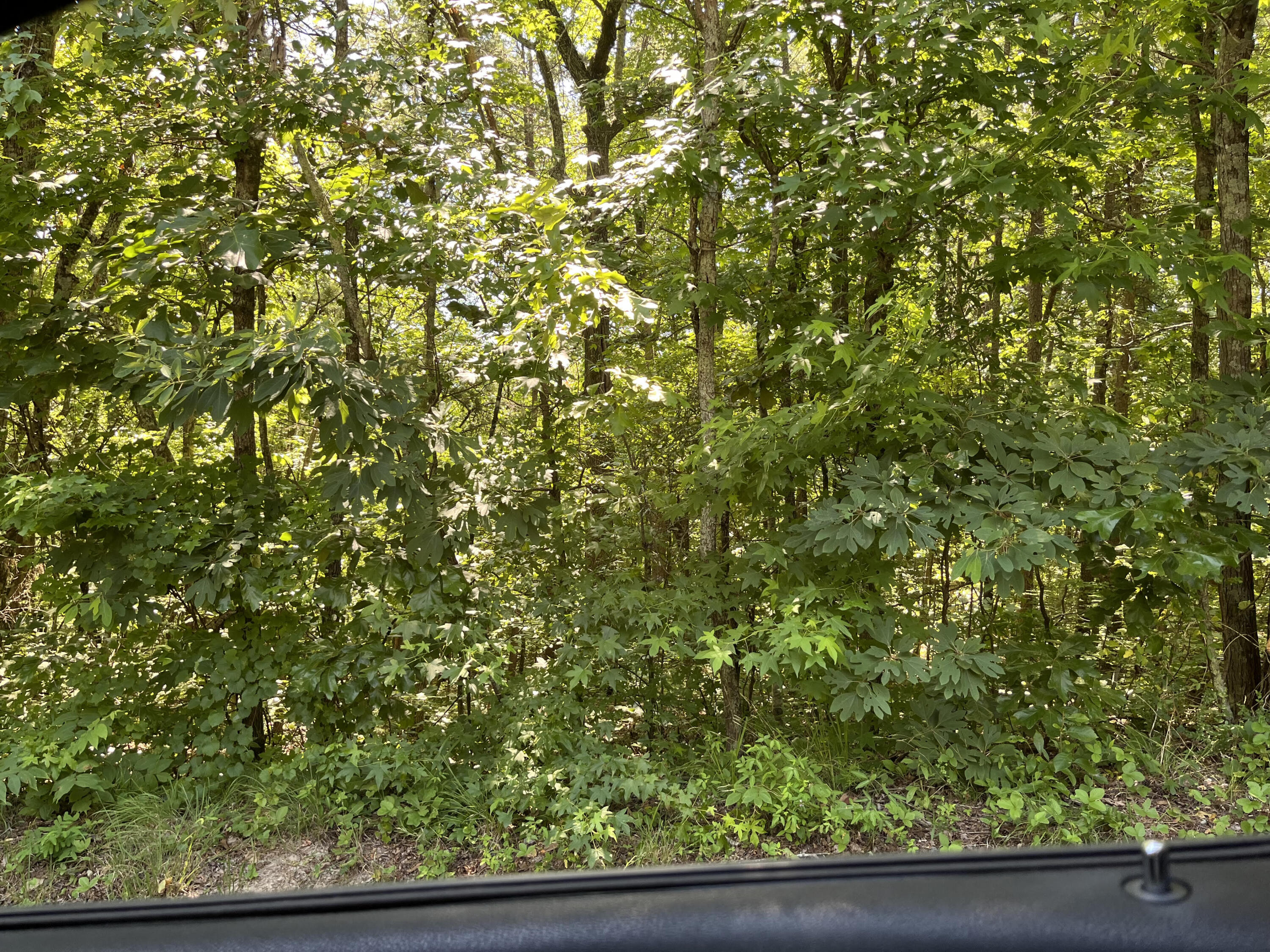 Lovell Rd, Soddy Daisy, TN 37379