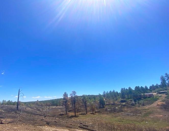 Land in Timberon 3