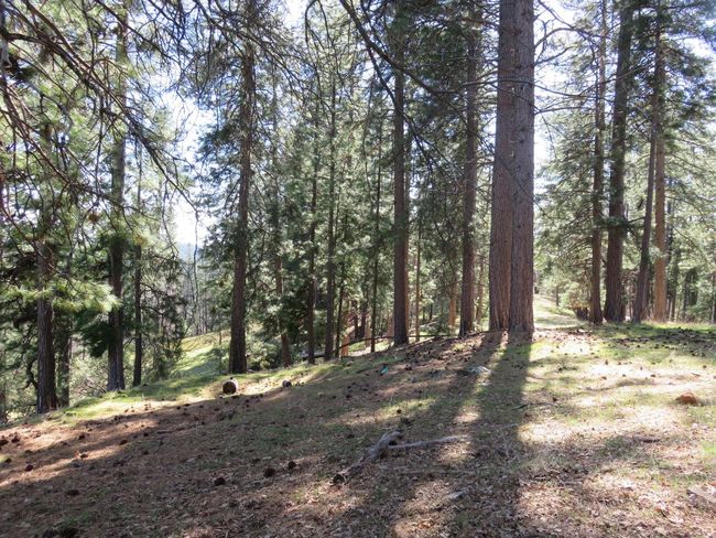 4196 Bald Mountain Rd, Home with 0 bedrooms, 0 bathrooms and null parking in West Point CA | Image 35