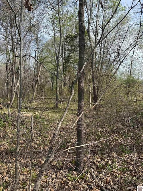 0 Walnut Rd, Boaz, KY, 42027 | Card Image
