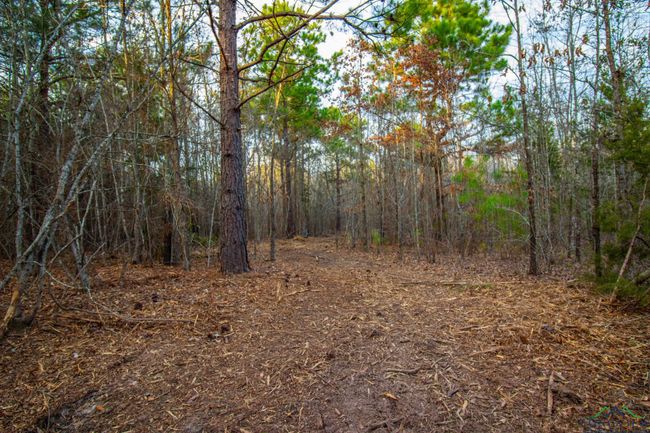 00 Mistletoe Rd, Home with 0 bedrooms, 0 bathrooms and null parking in Gilmer TX | Image 13