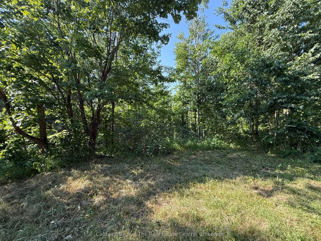 1087 Merkley Rd, House other with 3 bedrooms, 3 bathrooms and 10 parking in Gravenhurst ON | Image 12