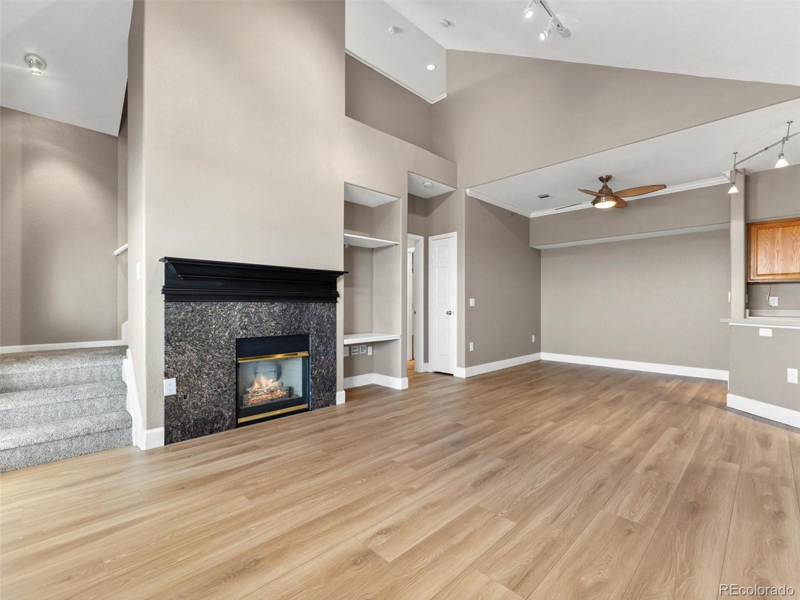 Residential in Castle Rock 2