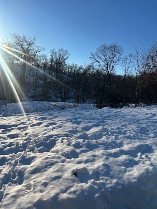 1807 Aspen Cir Se, Cedar Rapids, IA, 52403-7060 | Card Image