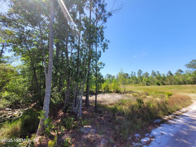 2155 State Road 40, Home with 0 bedrooms, 0 bathrooms and null parking in De Leon Springs FL | Image 71