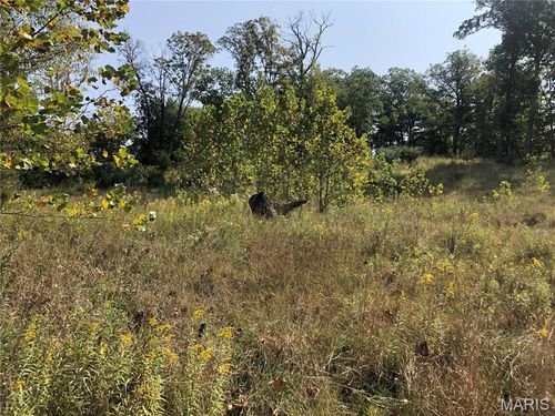 6752 Walnut Valley Dr, High Ridge, MO, 63049 | Card Image