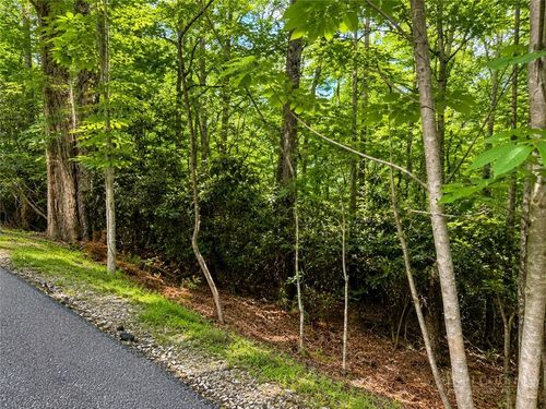 TBD Walnut, Boone, NC, 28607 | Card Image