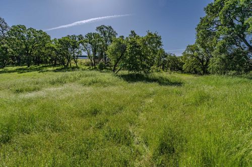 10851 State Highway 88, Jackson, CA, 95642-9414 | Card Image