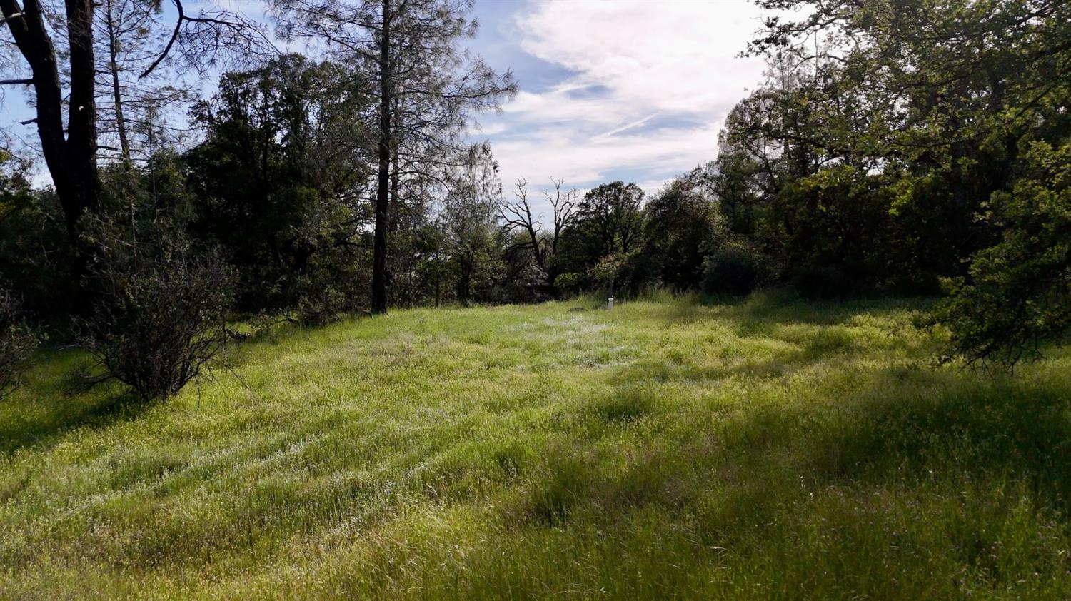 Land in North San Juan 5