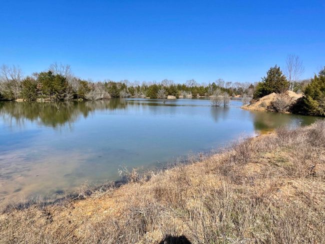 000 Brewer Rd, Home with 0 bedrooms, 0 bathrooms and null parking in Conway AR | Image 31