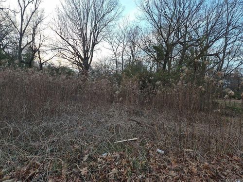 2100 S Mulberry Street, Pine Bluff, AR, 71603 | Card Image