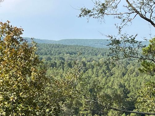 84 Old Factory Site Rd, Murfreesboro, AR, 71958-9006 | Card Image