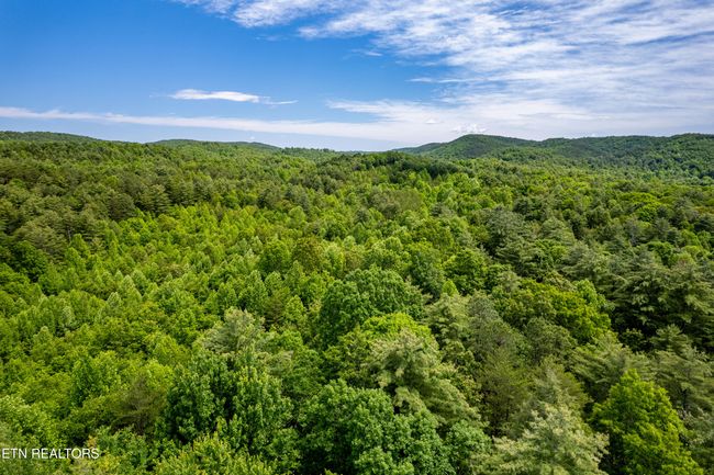 000 Cane Creek Mountain Rd, Home with 0 bedrooms, 0 bathrooms and null parking in Tellico Plains TN | Image 19