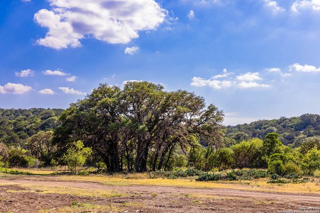 14910 Bullhead Rd, Home with 3 bedrooms, 1 bathrooms and null parking in Rocksprings TX | Image 41