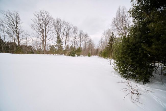 Property views | Image 47