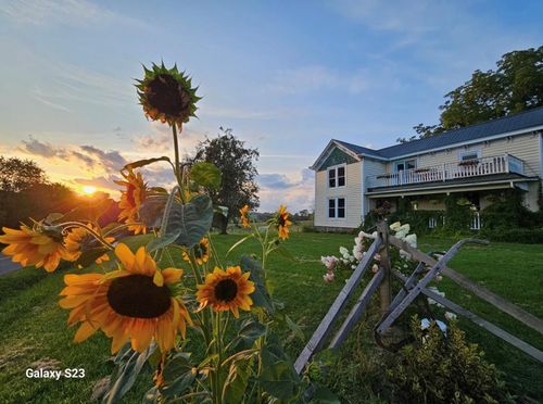 7561 Snake Creek Rd, Hillsville, VA, 24343-5595 | Card Image