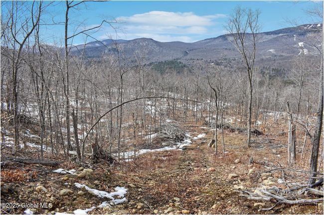48 Durkin Rd, Home with 0 bedrooms, 0 bathrooms and null parking in North Creek NY | Image 29