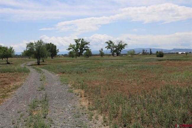 14433 2600 Rd, Home with 0 bedrooms, 0 bathrooms and null parking in Cedaredge CO | Image 44