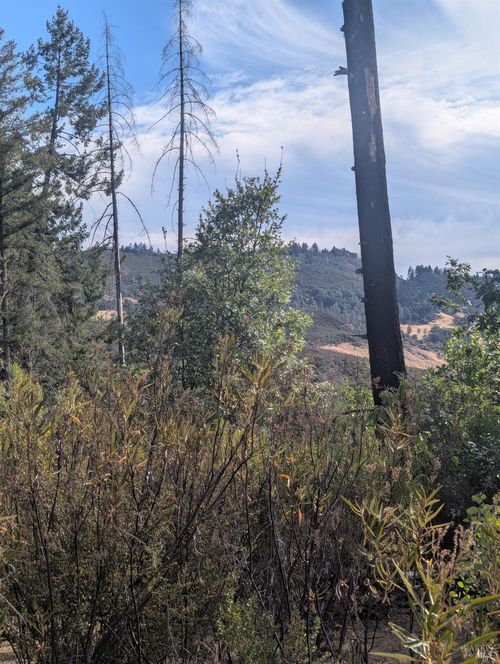 16351 Gibson Ln, Potter Valley, CA, 95469 | Card Image