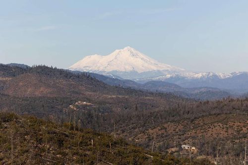 10758 Muletown Rd, Shasta, CA, 96087 | Card Image