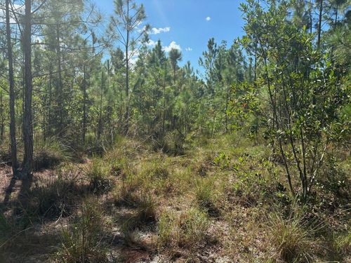 0 Holopaw Groves Rd, Saint Cloud, FL, 34772 | Card Image