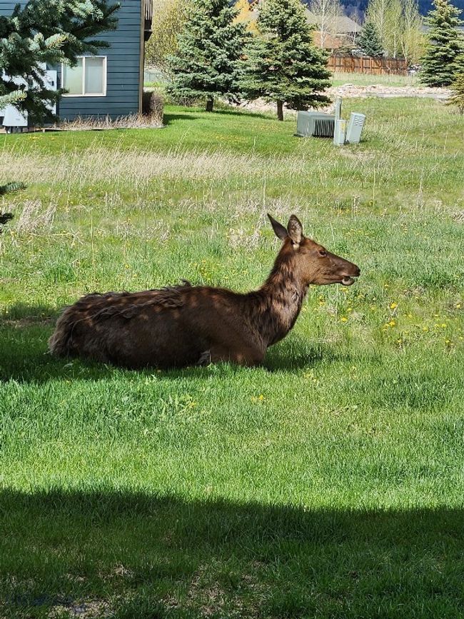 B2 - 155 Aurora Lights Dr, Condo with 2 bedrooms, 2 bathrooms and null parking in Big Sky MT | Image 4