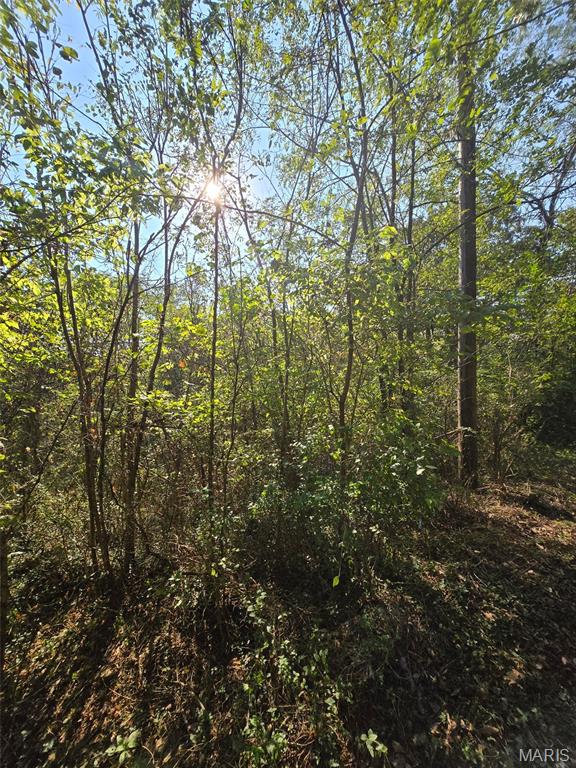 Land in Newburg