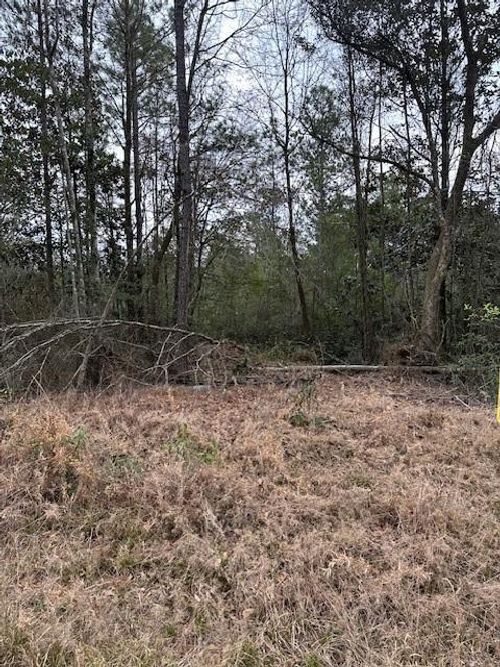 0 Salco Rd E, Axis, AL, 36505 | Card Image