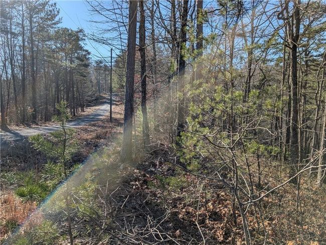 1400 Foxhound Trl Ne, Home with 0 bedrooms, 0 bathrooms and null parking in Ranger GA | Image 8